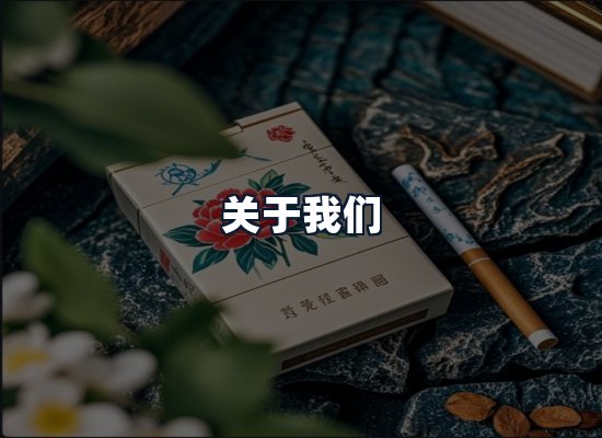 关于我们
